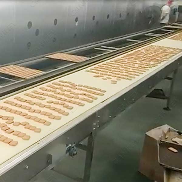 biscuit-packing-factory.jpg